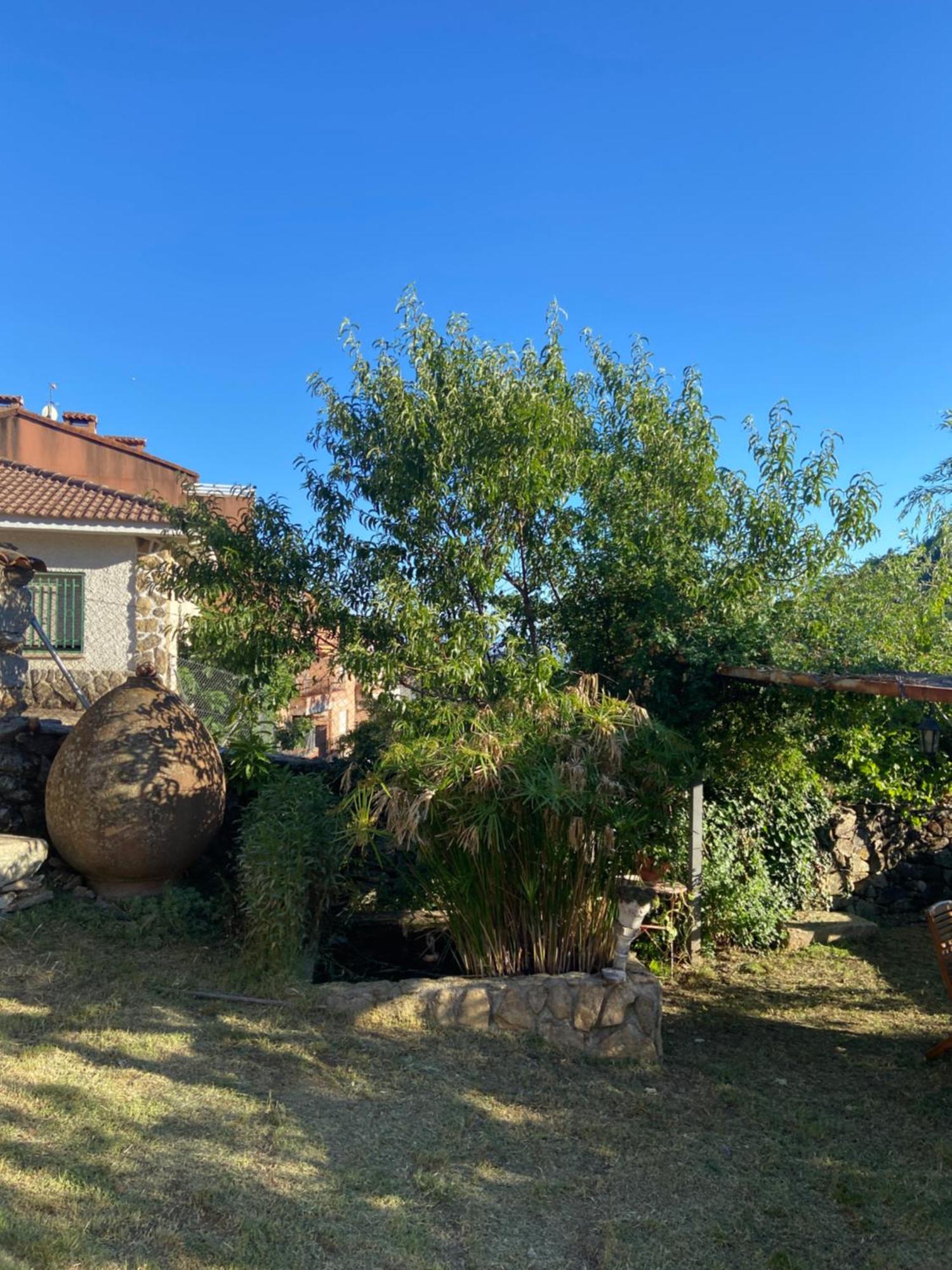 La Casa De Cadia I