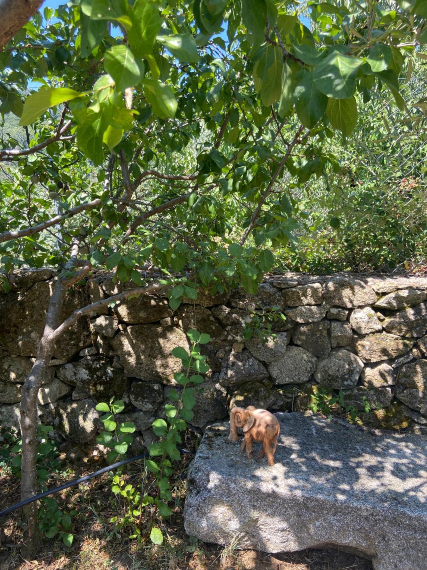 La Casa De Cadia I El Real de San Vicente